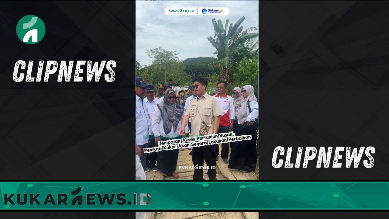 Jembatan Akses Pertanian Rusak, Pemkab Kukar Akan Segera Lakukan Perbaikan - Clipnews