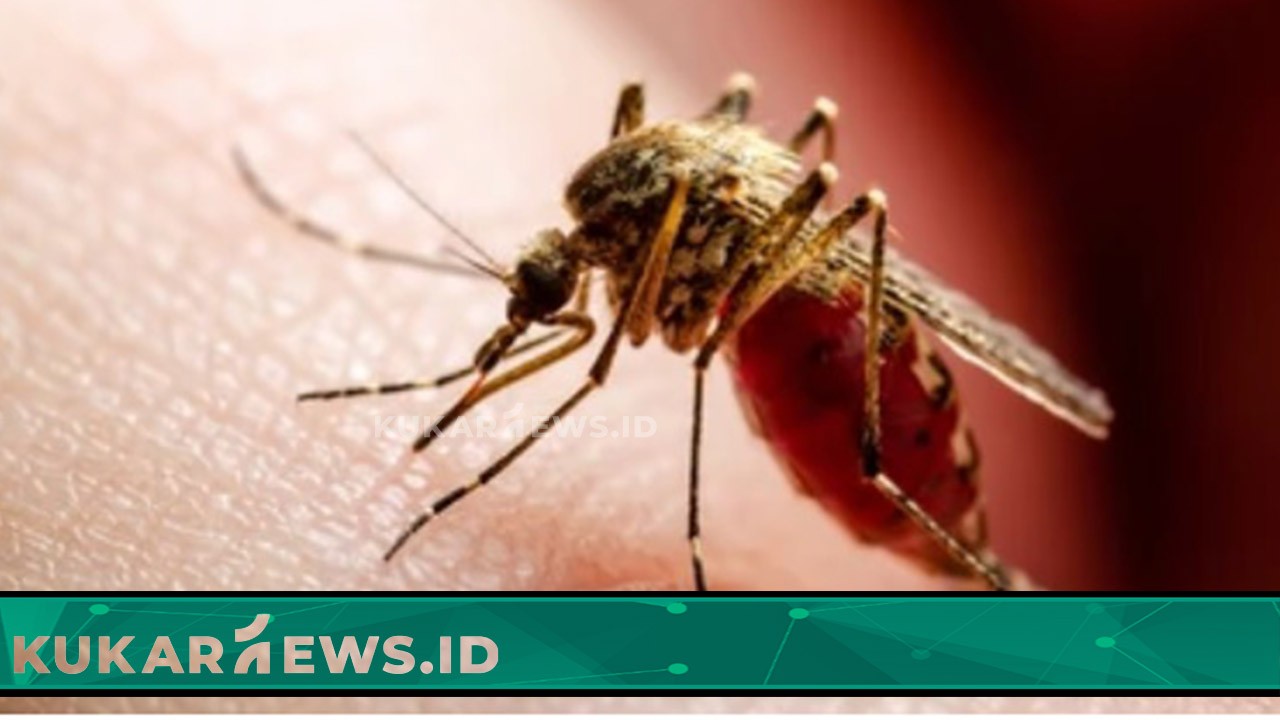 Penanganan Cepat Terkait Meningkatnya DBD di Kukar
