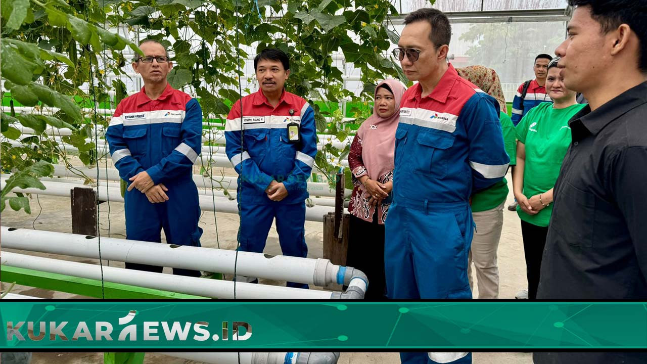 Dukung Keberlanjutan, Dirut PT PHI Kunjungi Program CSR Pemanfaatan Akar Pakis di Pulau Bunyu