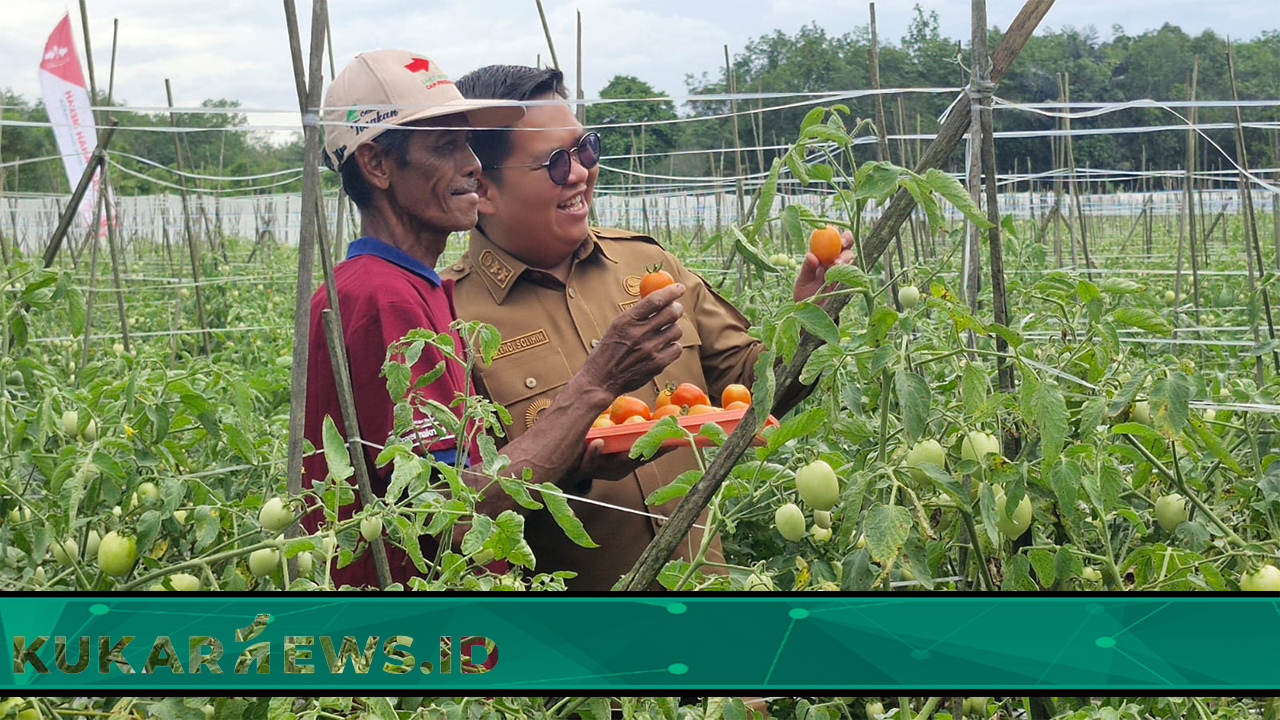 Edi - Rendi Gelontorkan Rp 700 M, Genjot Sektor Pertanian Kukar Sebagai Lumbung Pangan IKN