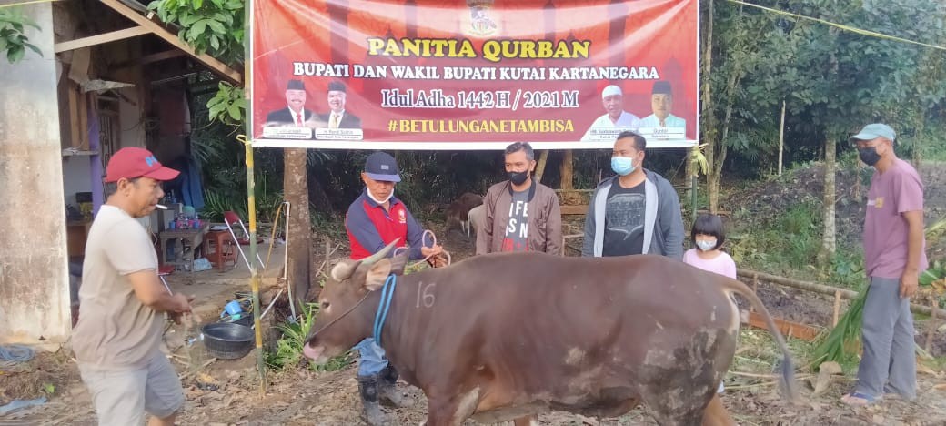 Bupati Edi Damansyah Serahkan Sapi Kurban untuk Jurnalis di Kukar