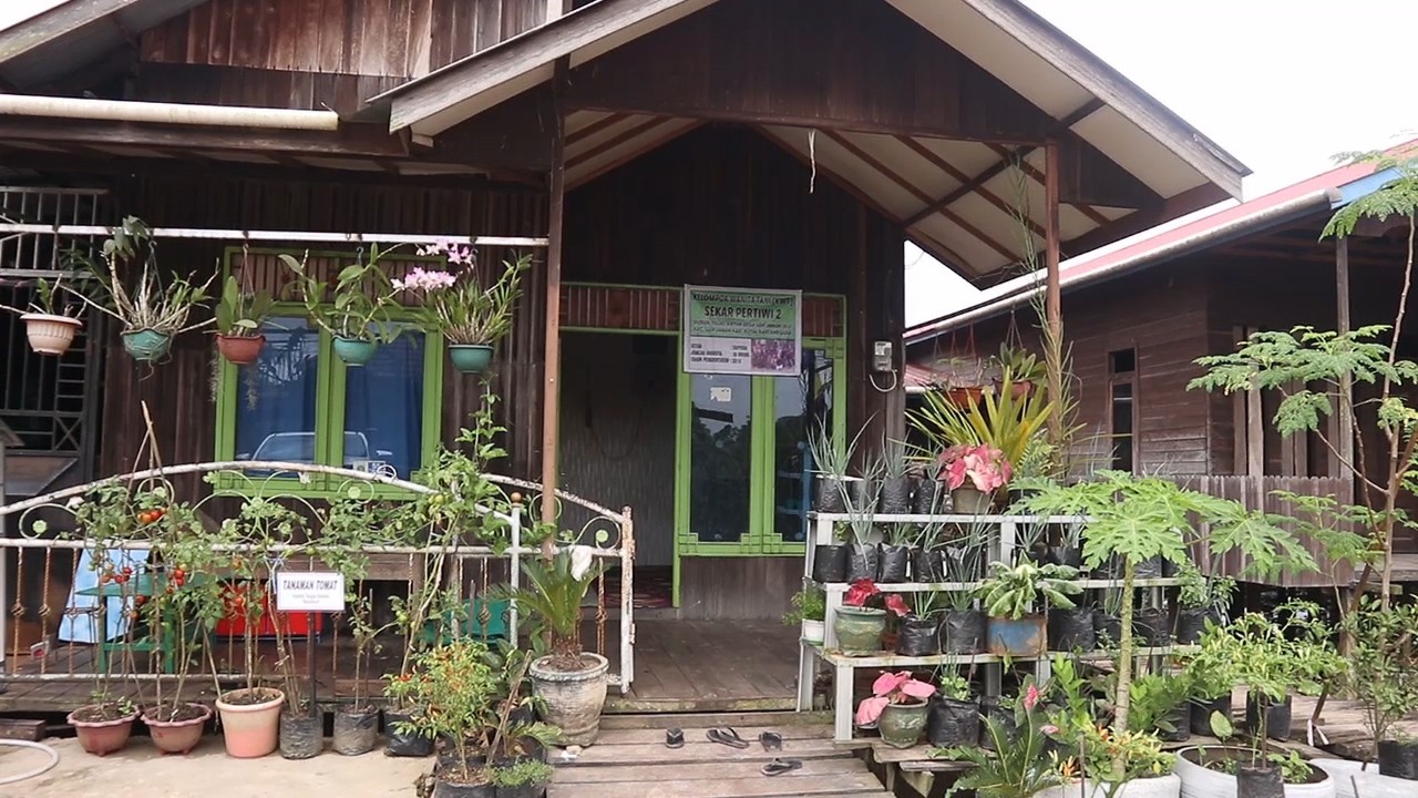 Dorong KWT Manfaatkan Pekarangan