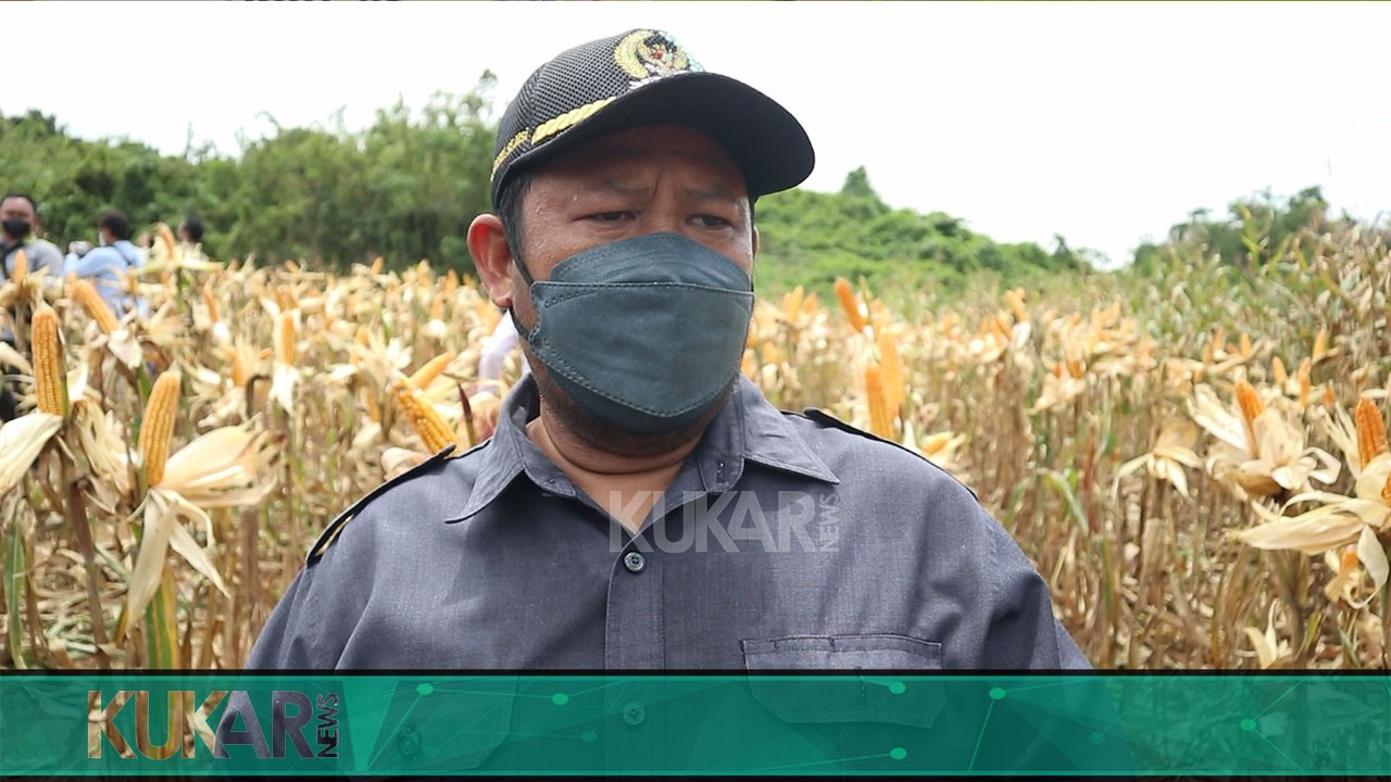 Ketua DPRD Abdul Rasid Akan Koordinasi dengan Pihak Terkait Permohonan Alsintan