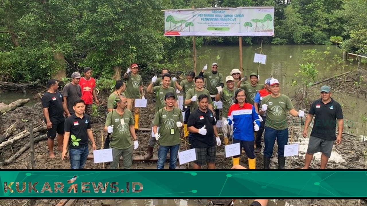 Dukung Pengurangan Emisi Karbon, PT Pertamina Hulu Sanga Sanga Tanam Mangrove
