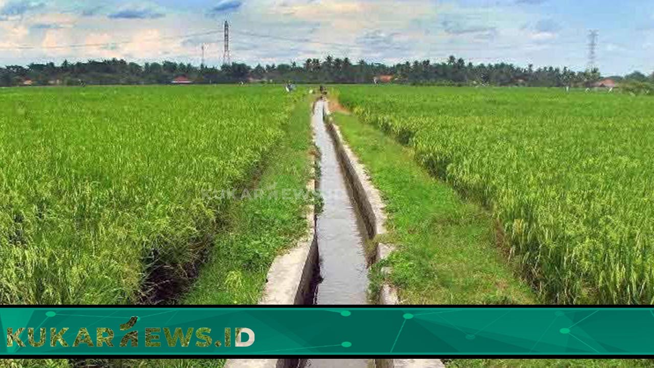 Rehabilitasi Jaringan Irigasi, Dinas PU Siapkan Anggaran Rp 2,88 Miliar