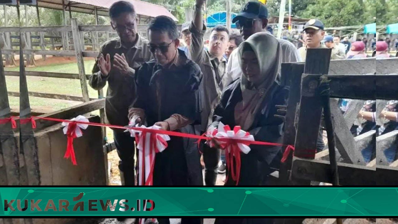 Strategi Kutim Wujudkan Target Swasembada Daging Sapi