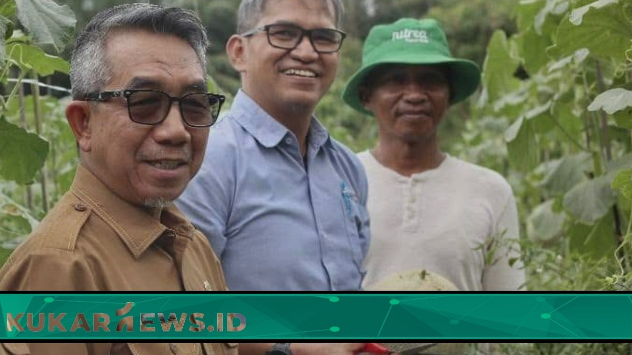 Bupati Apresiasi Petani Melon di Teluk Pandan, Hasilkan 30 Ton Sekali Panen
